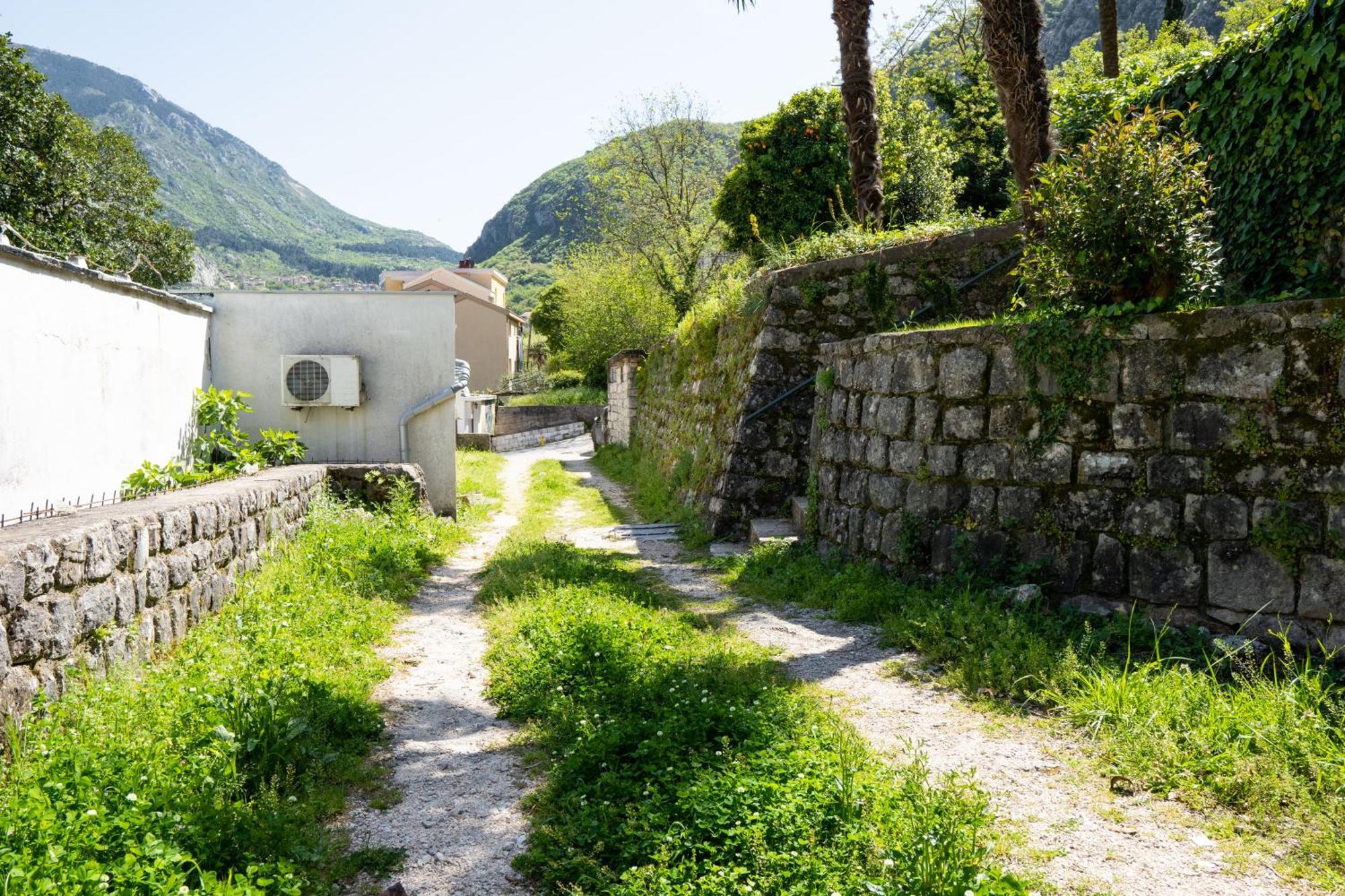 M&B Apartment Kotor Eksteriør bilde
